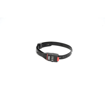 BL-01 Bike Lock